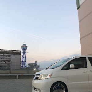 アルファード 10系