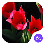 Gorgeous-APUS Launcher theme Apk