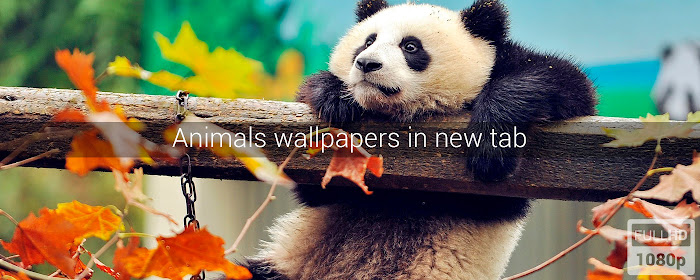 Animals Wallpapers New Tab marquee promo image