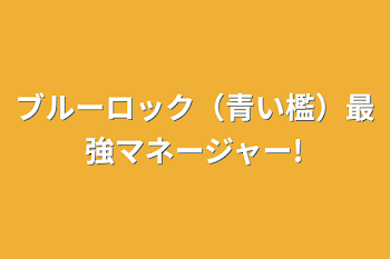 ブルーロック（青い檻）最強マネージャー!