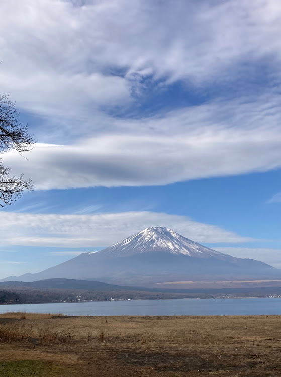 の投稿画像5枚目