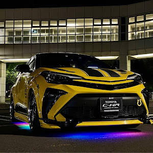 C-HR NGX10