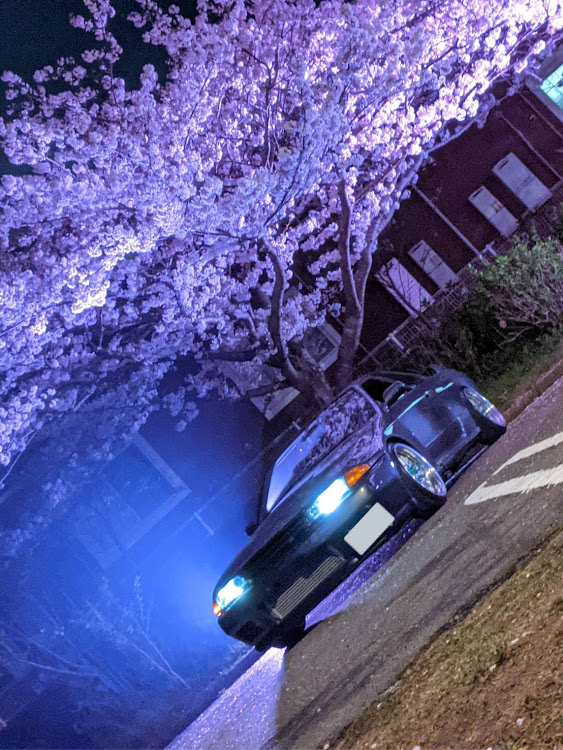 スカイライン GT-Rの桜と愛車・Ｂdash・ピックアップ一度でも載ってみたいに関するカスタム事例の投稿画像3枚目