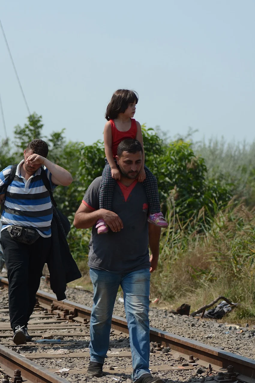 U Subotici nađeno 290 nelegalnih migranata, prevezeni u prihvatne centre