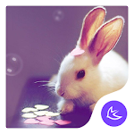 Cover Image of Download Cartoon Kawaii Pink Rabbit APUS Launcher theme 747.0.1001 APK