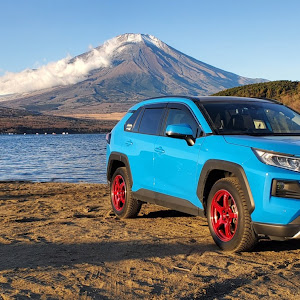 RAV4 MXAA54