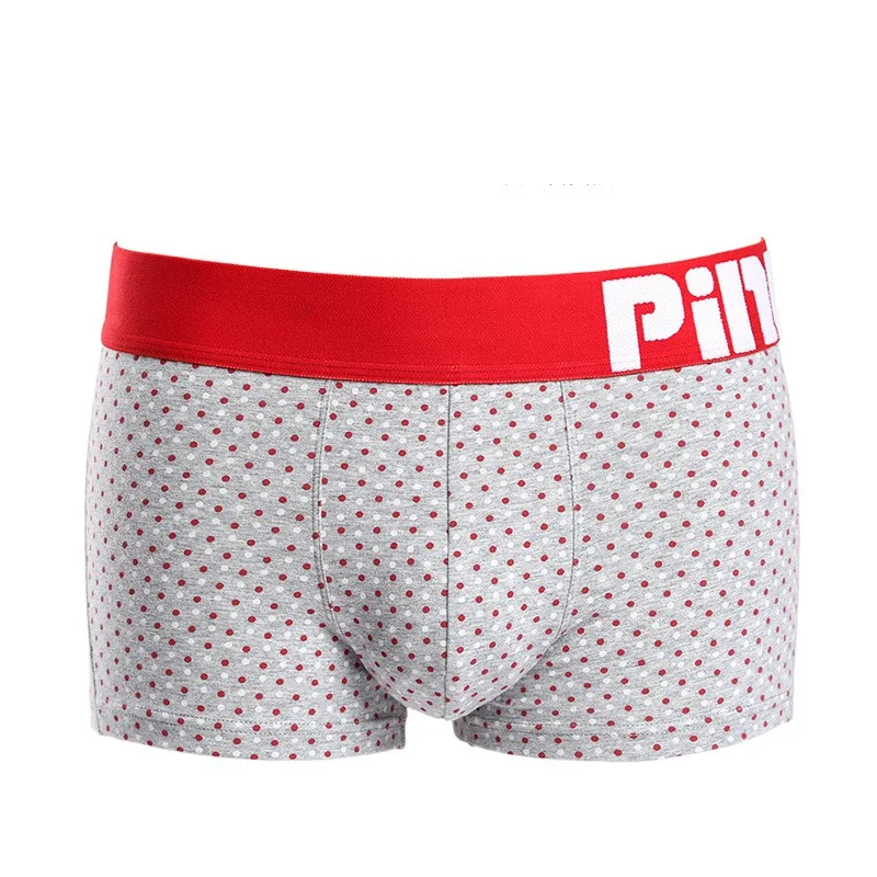 Boxer Briefs Extensibles en Coton pour Hommes Confort et Maintien Supérieurs Respirants et Ajustés Idéals pour le Quotidien