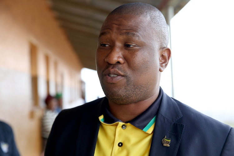 Eastern Cape ANC provincial chairman Oscar Mabuyane has promised that the ANC will deliver on the promises outlined in the party's manifesto.