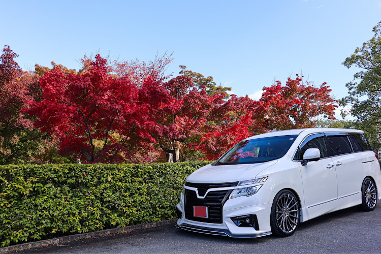 エルグランドのドライブ・紅葉に関するカスタム事例の投稿画像2枚目