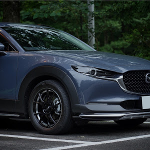 CX-30 DMEP