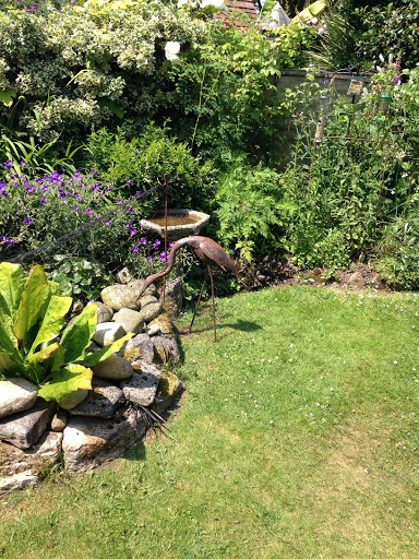 Raised pond build Warsash