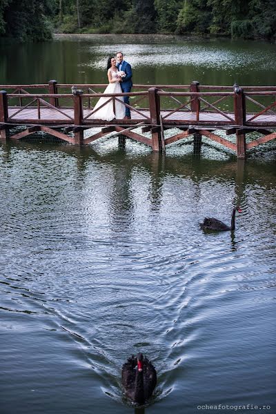 Wedding photographer Doru Ochea (ocheafotografie). Photo of 13 September 2017