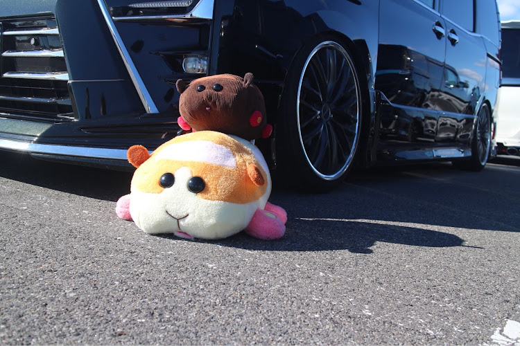 ヴォクシーのオフ会・ホイールコラボ・コラボ集・今回もありがとうございました✨に関するカスタム事例の投稿画像1枚目