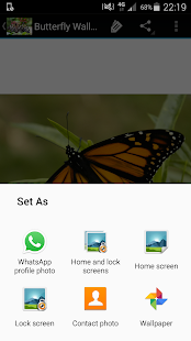 How to install Butterfly Wallpapers 1.1 apk for pc