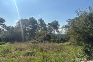 Land 3