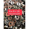 Vòng Bi Cũ 6200, 6201 - 6202 - 6205 - 6206 - 6207 Chuyên Lắp Bánh Xe - Xe Rùa Xe Đẩy