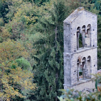 Campane nel verde di 