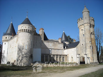 château à Neuvy-le-Barrois (18)