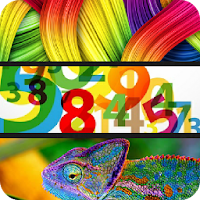 Colors Numbers Animals for Kid