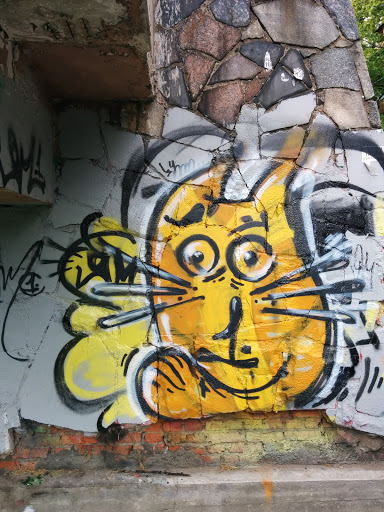 Cat Graffiti