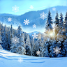 Winter Live Wallpaper icon