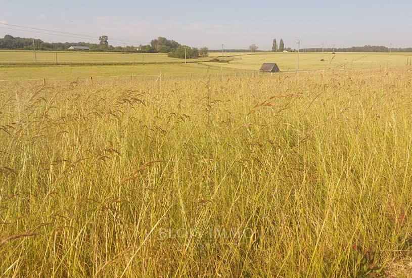  Vente Terrain à bâtir - 937m² à Chambon-sur-Cisse (41190) 