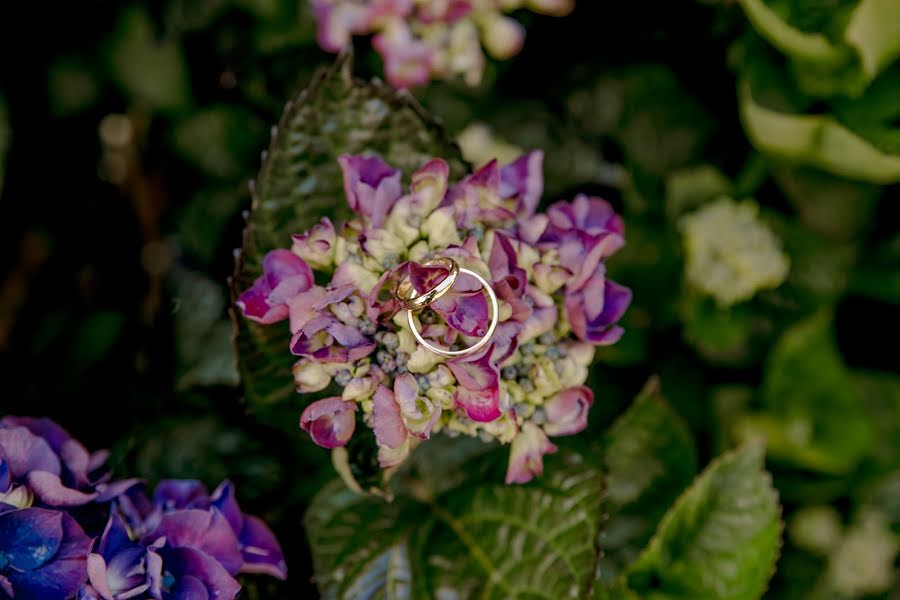 Fotografo di matrimoni Carolina Hepp (carohepp). Foto del 11 aprile