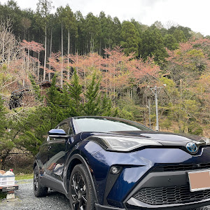 C-HR ZYX11