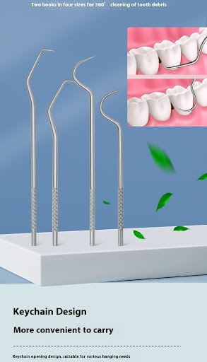 Title 4, 304 Stainless Steel Toothpick Portable Cleaning...