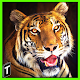 Download Super Tiger Sim 2017 For PC Windows and Mac 1.0