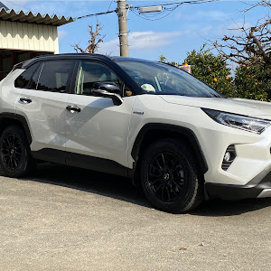 RAV4 MXAA54