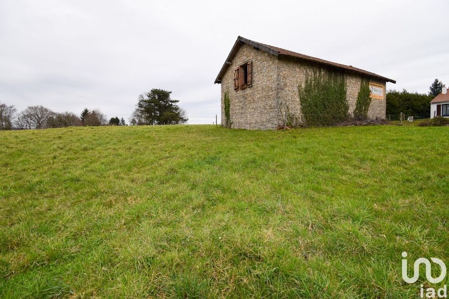 Vente maison 2 pièces 100 m² à Sauviat-sur-Vige (87400), 65 000 €