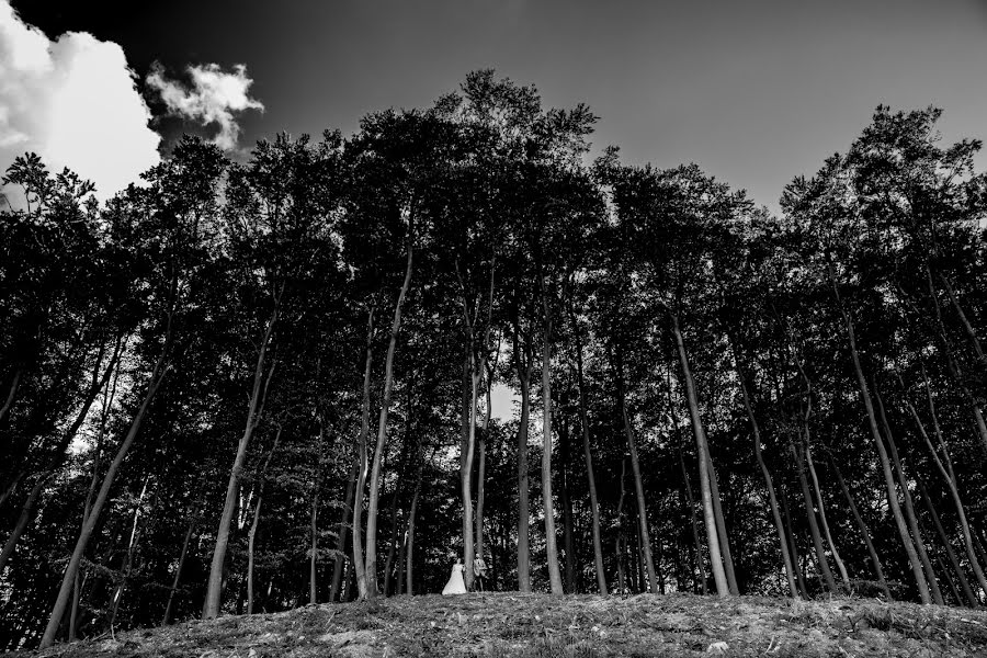 Fotógrafo de casamento Ümit Demir (umixx). Foto de 4 de julho 2018