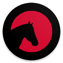 Polar Equine App – Optimize your horse's fitness