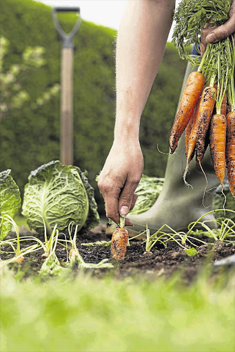 Good soil yields healthy food