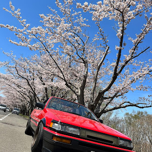 カローラレビン AE86