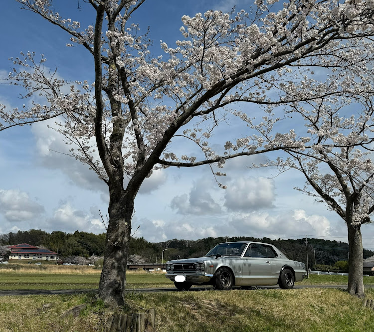 の投稿画像2枚目