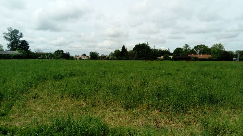 Vente terrain  500 m² à La Lande-de-Fronsac (33240), 110 000 €