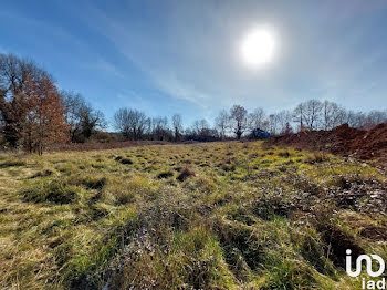 terrain à Baigneaux (33)