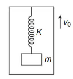 Spring-mass system