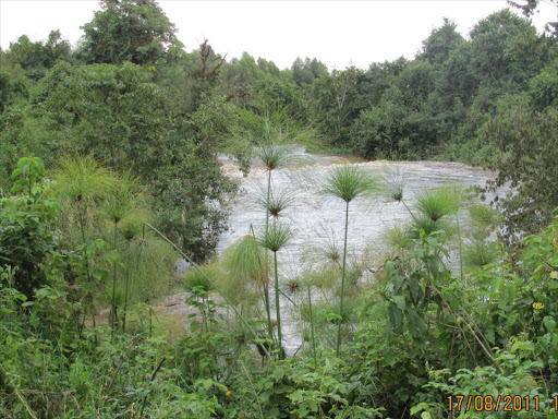 A view of River Yala /FILE