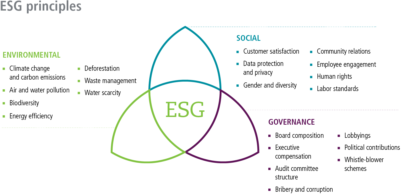 Методология esg. ESG принципы устойчивого развития. ESG принципы. ESG стратегия. ESG повестка.