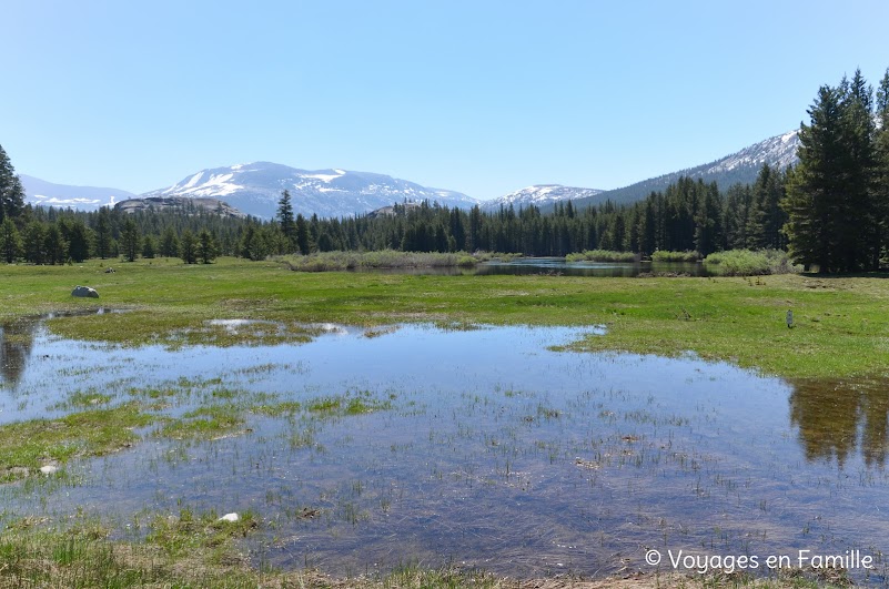 Tuolumne meadows yosemite