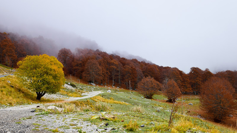 Ottobre montanaro di gianluca_simotti