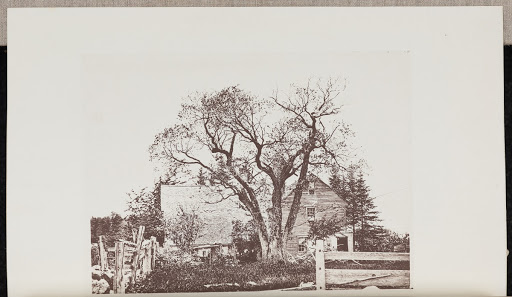 The old Lynde Homestead and Mulberry-tree in Wyoming