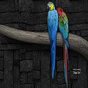 abstract parrot Chrome extension download