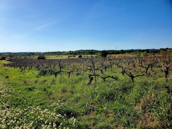 terrain à batir à Loupian (34)