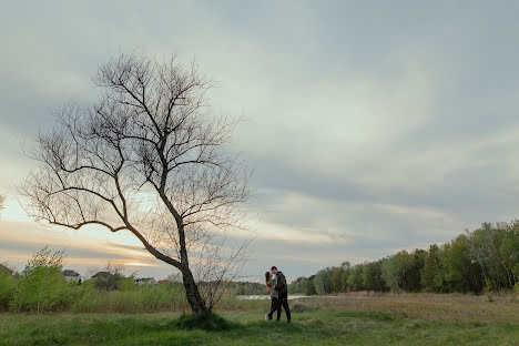 Fotografo di matrimoni Vladimir Ischenko (ishchenko). Foto del 20 maggio 2017