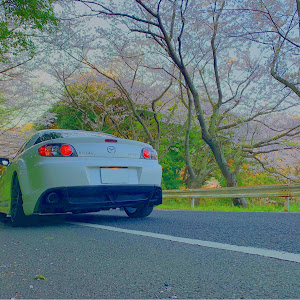 RX-8 SE3P