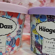 Häagen-Dazs 哈根達斯(敦南旗艦店)